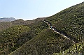 _DSC6447