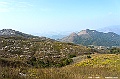 _DSC6481