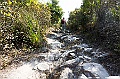 _DSC6487