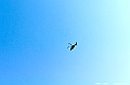 _DSC6538