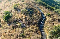 _DSC6567