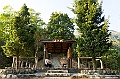 _DSC6590