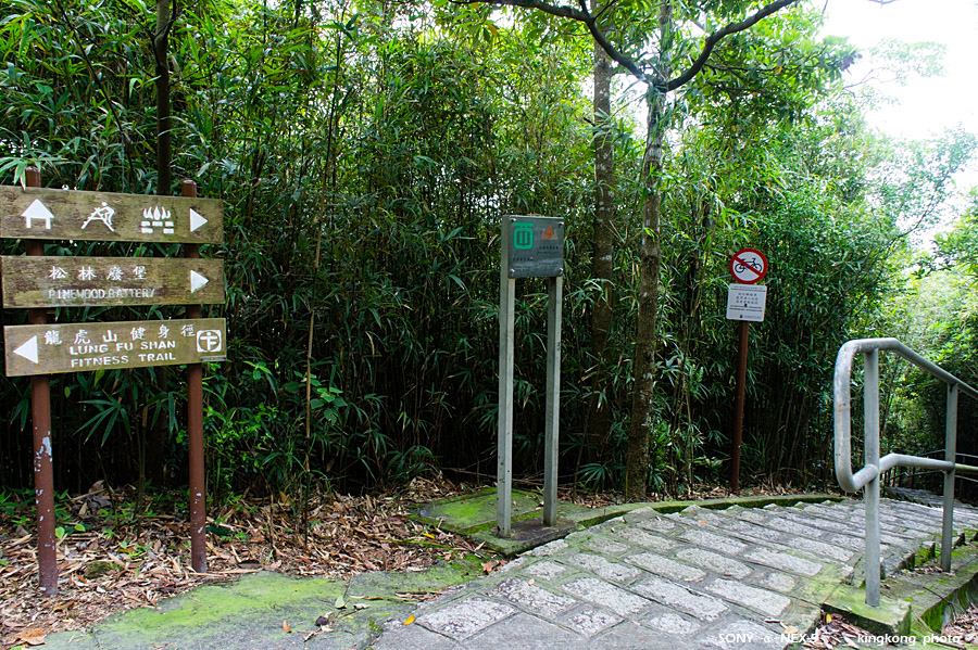 _DSC3059.jpg - SONY DSC