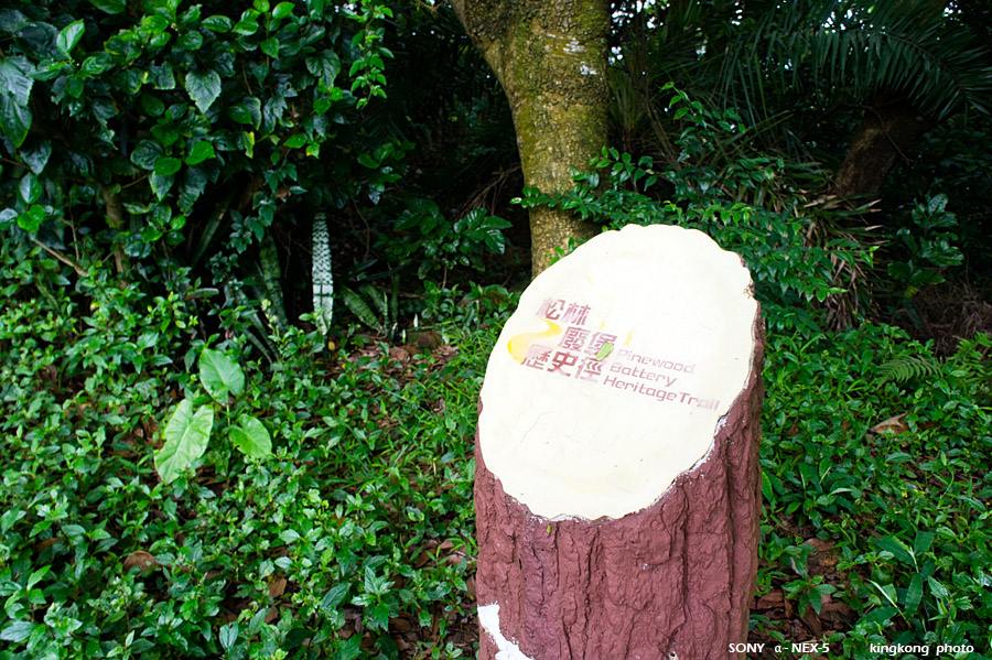 _DSC3060.jpg - SONY DSC