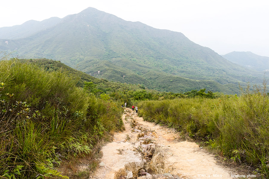 _DSC7749.jpg - Taken at Latitude/Longitude:22.496891/114.268696.  km       (Map link) 