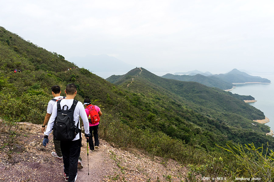 _DSC7768.jpg - Taken at Latitude/Longitude:22.477350/114.286874.  km       (Map link) 