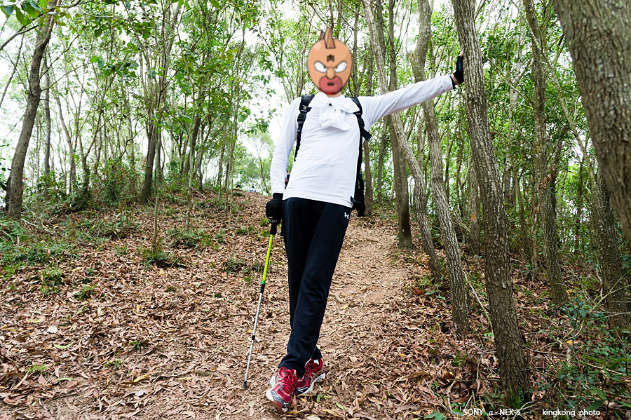 _DSC7799.jpg - Taken at Latitude/Longitude:22.468687/114.263746.  km       (Map link) 