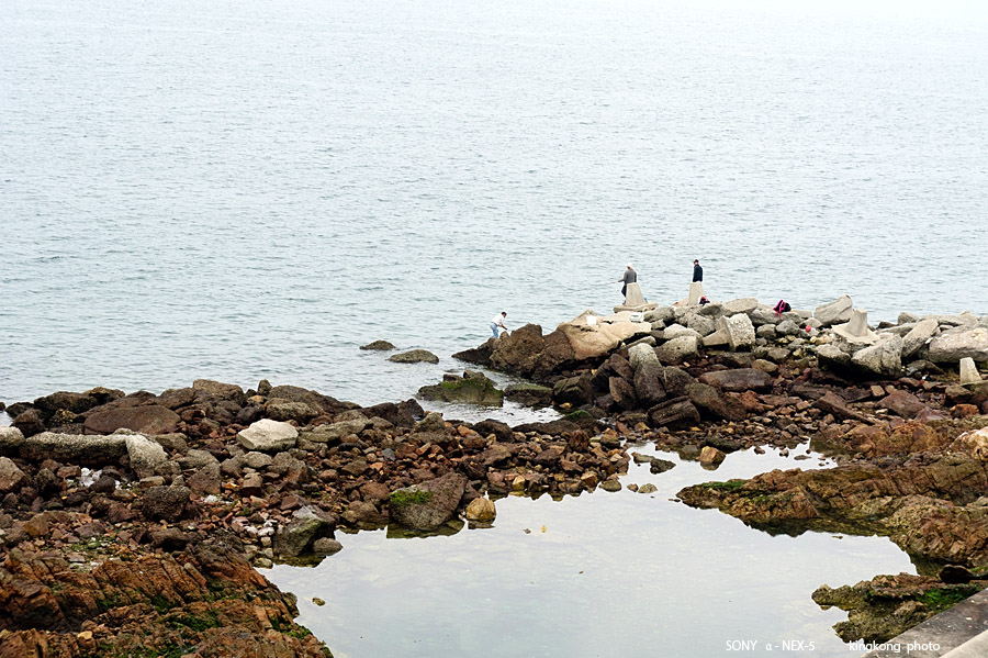 _DSC7826.jpg - Taken at Latitude/Longitude:22.457785/114.253983.  km       (Map link) 