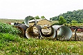 _DSC7827