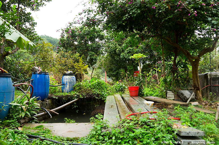 _DSC1404.jpg - Taken at Latitude/Longitude:22.372268/114.099389. 0.63 km North Tsuen Wan  Hong Kong   (Map link) 