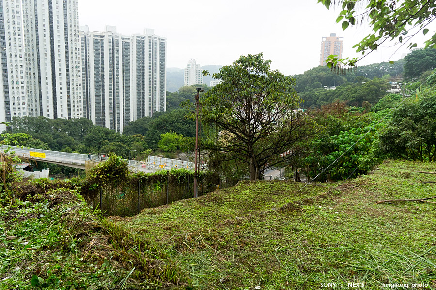 _DSC1409.jpg - Taken at Latitude/Longitude:22.373200/114.098870. 0.74 km North Tsuen Wan  Hong Kong   (Map link) 