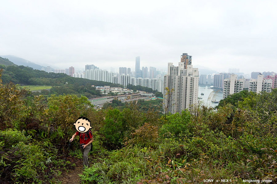 _DSC1419.jpg - Taken at Latitude/Longitude:22.370405/114.088820. 0.70 km North-East Yau Kom Tau  Hong Kong   (Map link) 