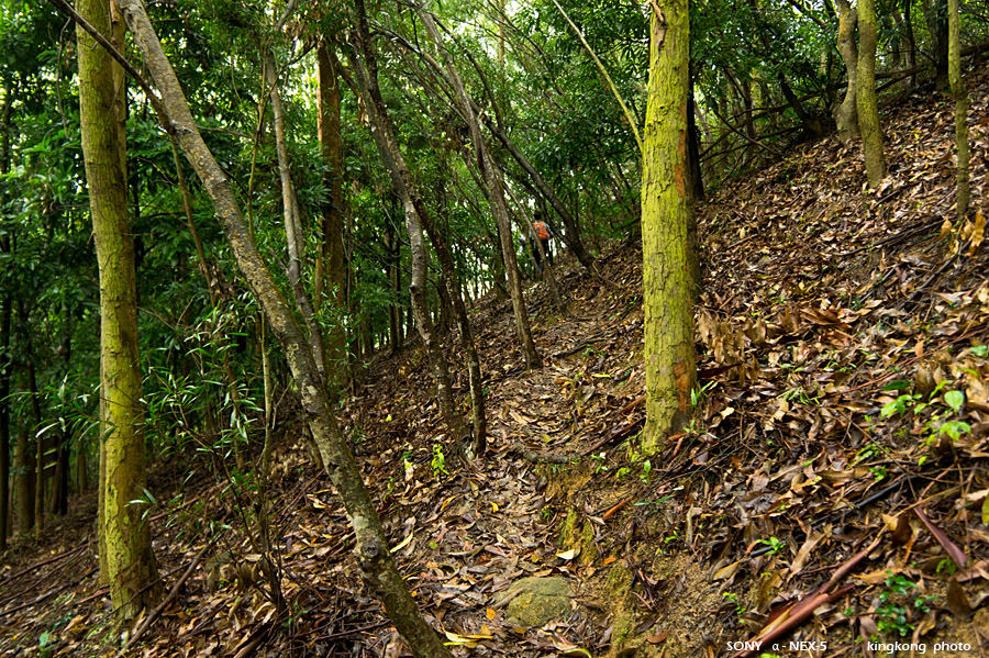 _DSC1429.jpg - Taken at Latitude/Longitude:22.371744/114.086713. 0.66 km North-East Yau Kom Tau  Hong Kong   (Map link) 