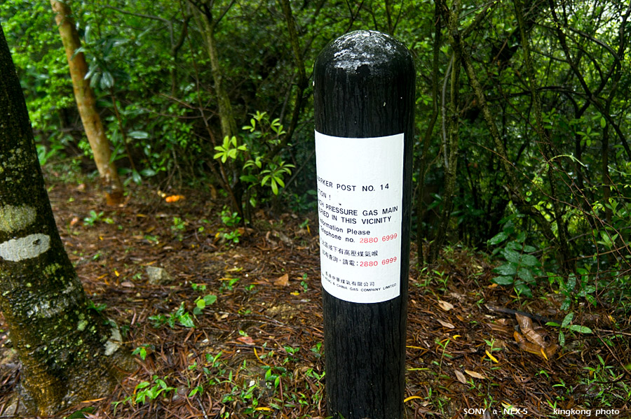 _DSC1498.jpg - Taken at Latitude/Longitude:22.384390/114.068060. 0.19 km North-East Tsing Fai Tong  Hong Kong   (Map link) 