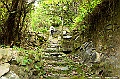 _DSC1411