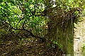_DSC1412