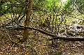 _DSC1425