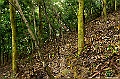 _DSC1429
