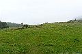 _DSC1480
