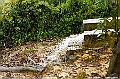 _DSC1499