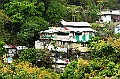 _DSC1510