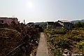 DSC_6814