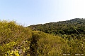 DSC_6864