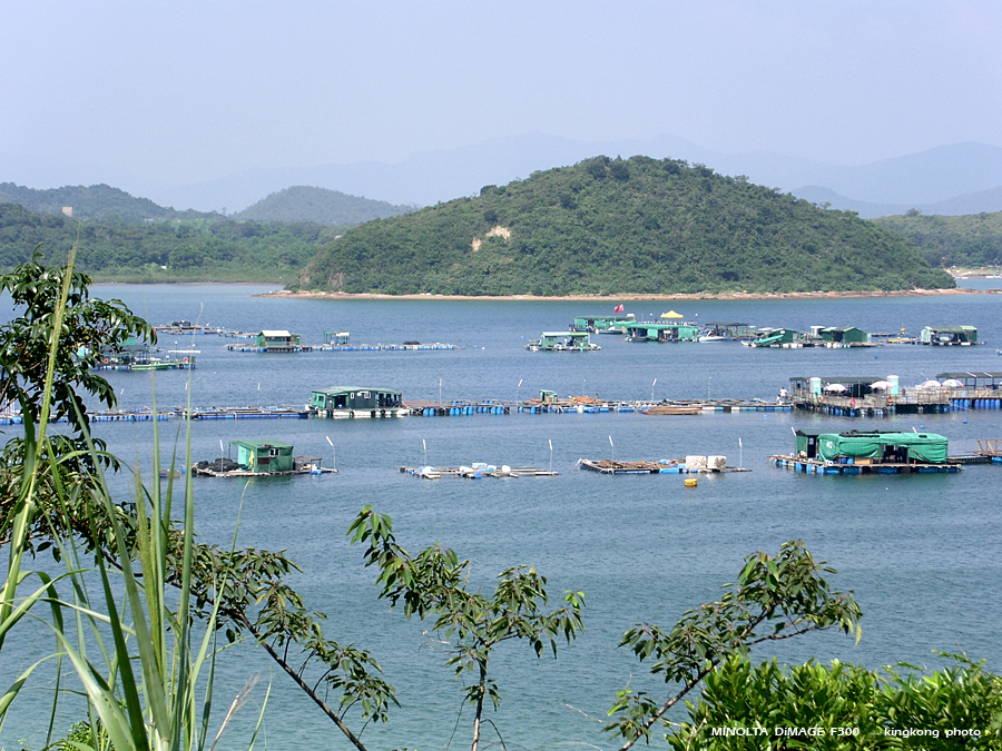 PICT0682.JPG - 榕樹澳 - 深涌 - 海下
