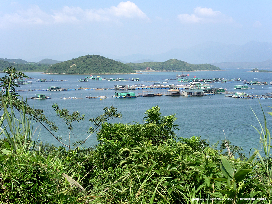 PICT0683.JPG - 榕樹澳 - 深涌 - 海下