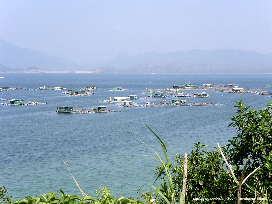 PICT0684.JPG - 榕樹澳 - 深涌 - 海下