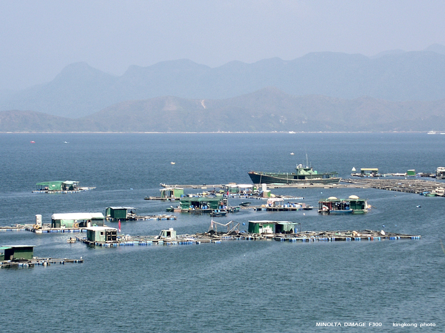 PICT0685.JPG - 榕樹澳 - 深涌 - 海下