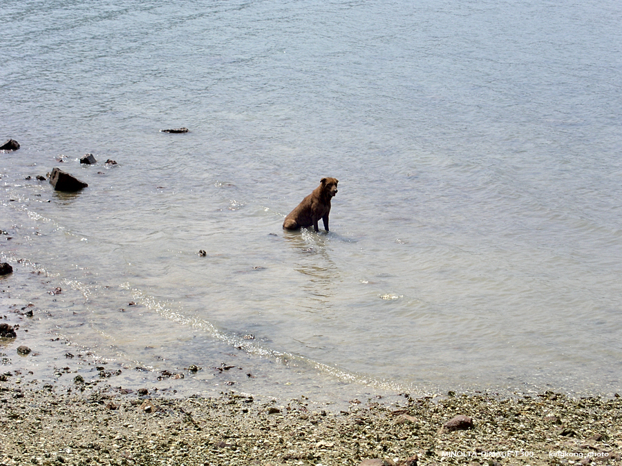 PICT0694.JPG - 榕樹澳 - 深涌 - 海下