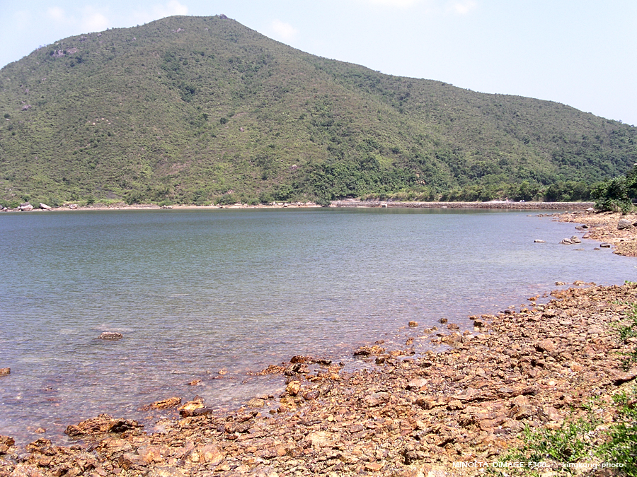 PICT0696.JPG - 榕樹澳 - 深涌 - 海下