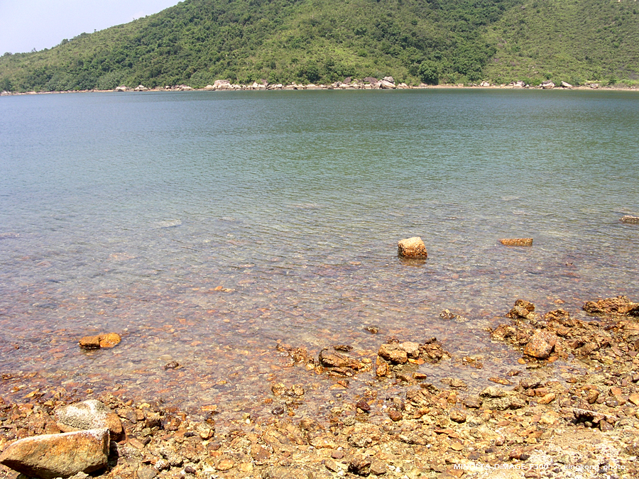 PICT0702.JPG - 榕樹澳 - 深涌 - 海下