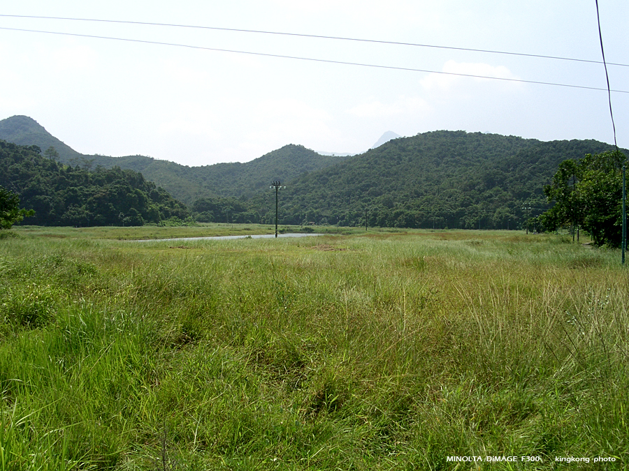 PICT0706.JPG - 榕樹澳 - 深涌 - 海下