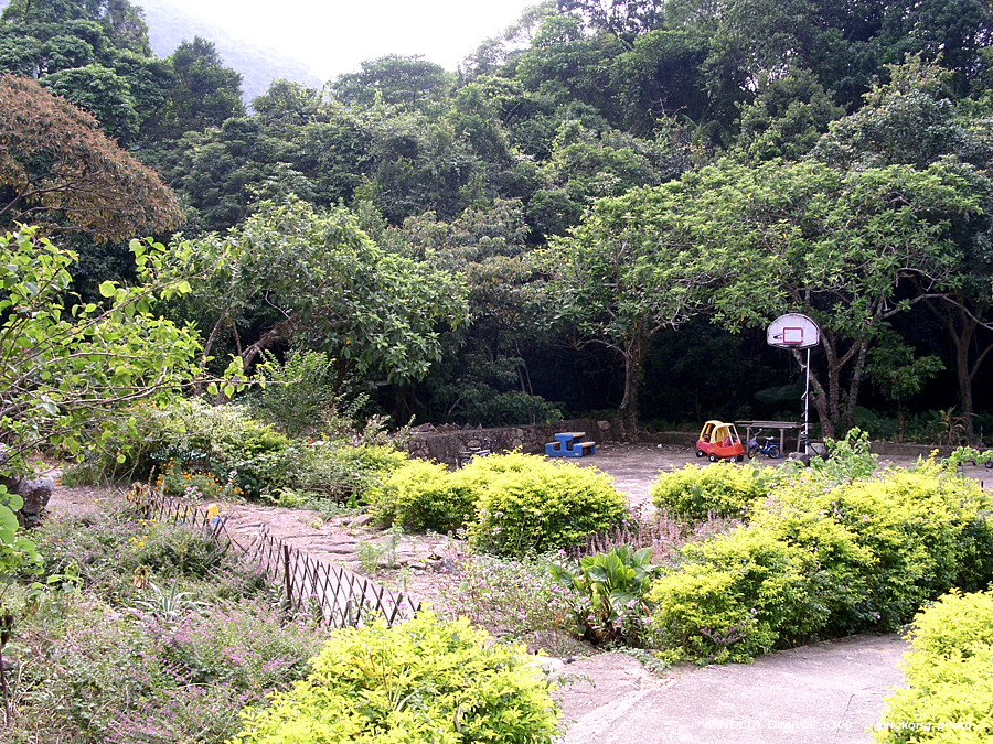 PICT0707.JPG - 榕樹澳 - 深涌 - 海下