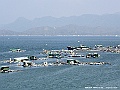 PICT0685