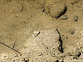 PICT0688