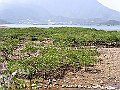 PICT0690