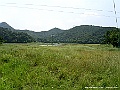 PICT0706
