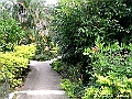 PICT0709