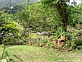 PICT0710