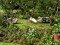 PICT0711