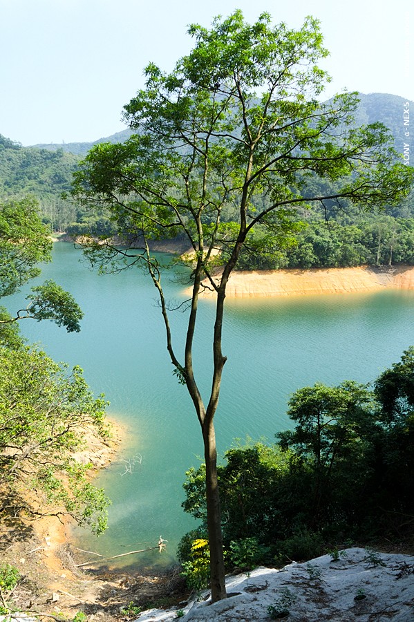 _DSC9868.jpg - SONY DSC