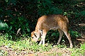 _DSC9870