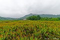 _DSC8663