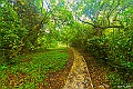 _DSC8672