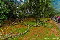 _DSC8679