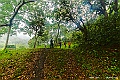 _DSC8715