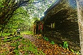 _DSC8725